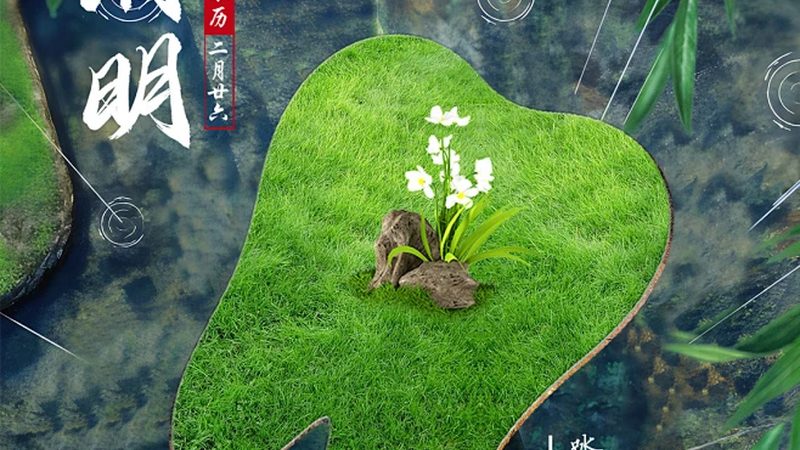 种植牙材质怎么选？别只看价格，这三个维度才是关键